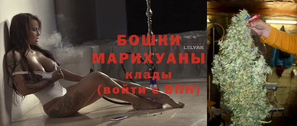 МДПВ Карпинск