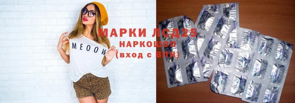 прущие грибы Карталы