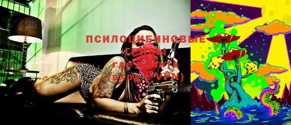 прущие грибы Карталы