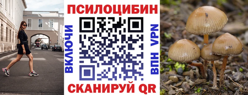 Псилоцибиновые грибы GOLDEN TEACHER Волгоград